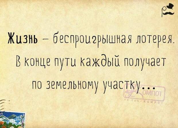 Позитивные фразочки в прикольных картинках (23 штуки)