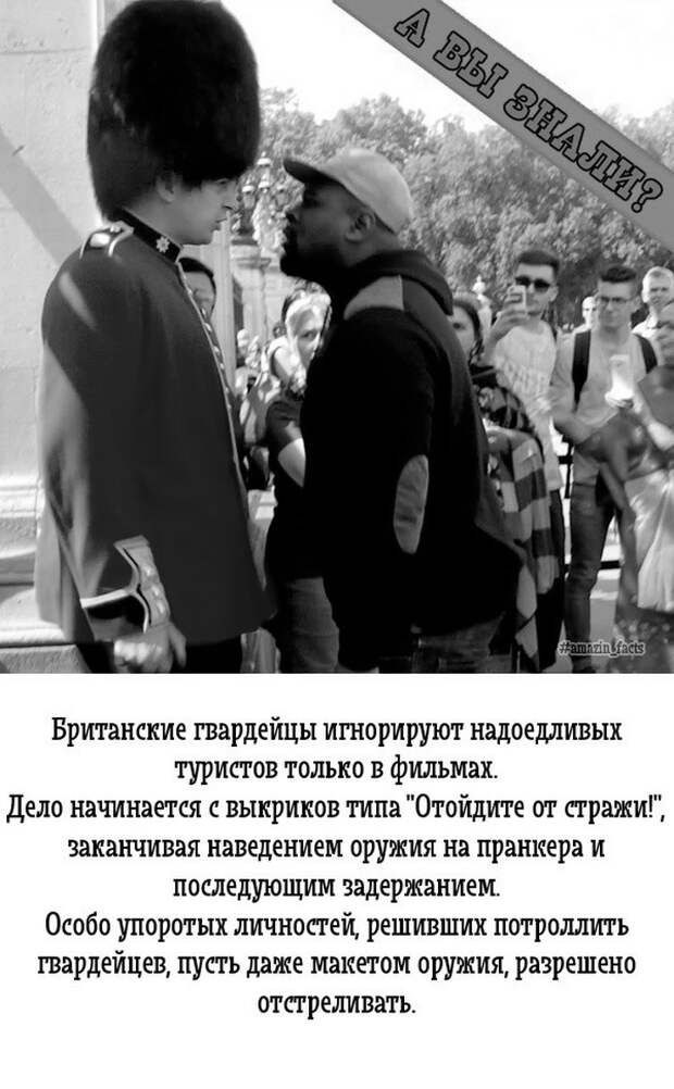 интересные факты