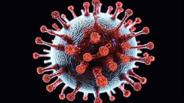 Скрытый вирус летучих мышей заражает людей. Коронавирус 2.0