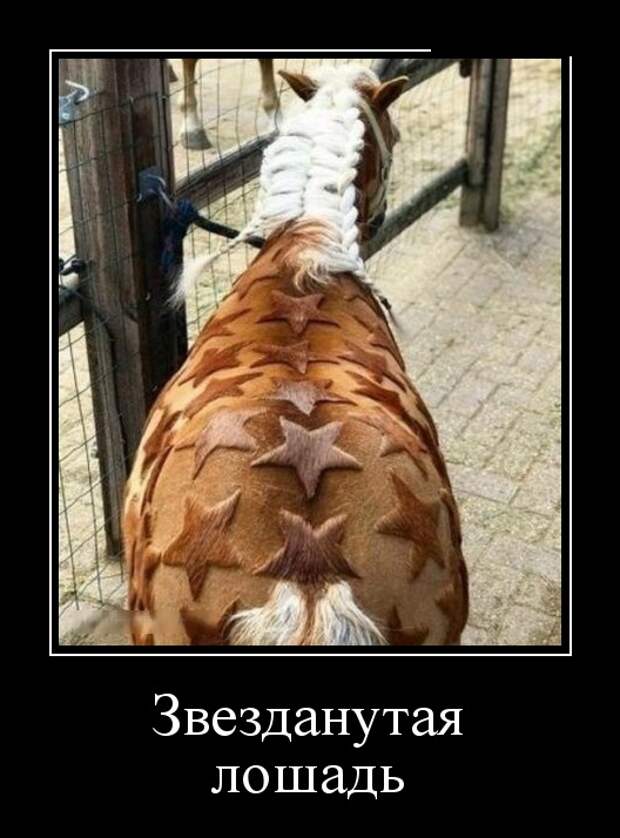 Демотиваторы (30 фото)