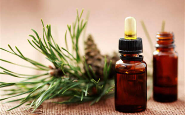 Как избавиться от паразитов - Народные методы лечения Как избавиться от паразитов - Народные методы лечения