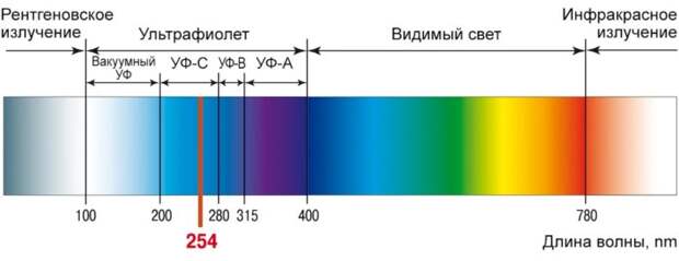 Почему ультрафиолет убивает микробы и опасен ли он для человека