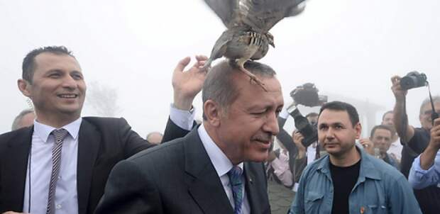 Эрдоган :Россия,пойми и прости!