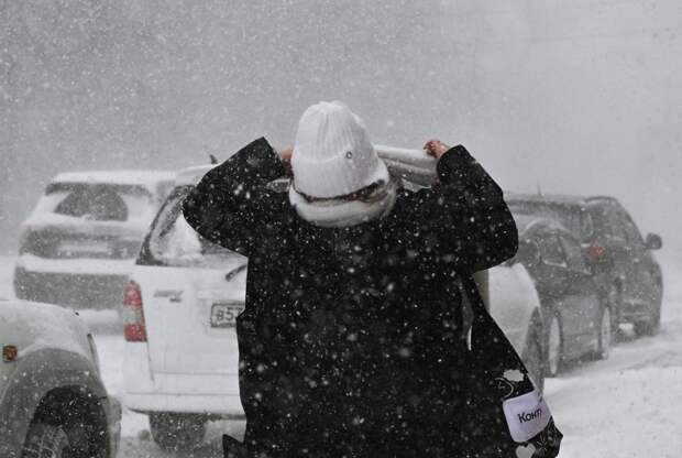 Россиянам назвали условия пропуска работы из-за снегопада