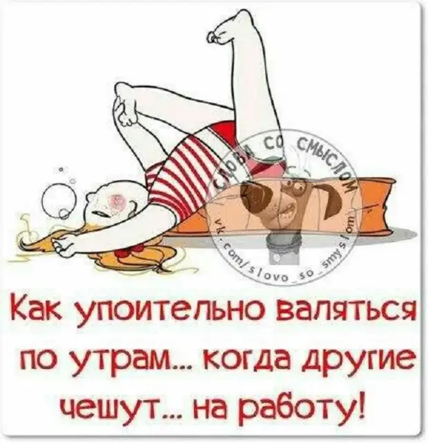 Мышка уронила яичко. Как упоительно валяться по утрам когда другие чешут на работу. Кошка лежит на спине. Давай в объебосе валяться по полу. Как хорошо валяться по утрам когда другие чешут на работу.