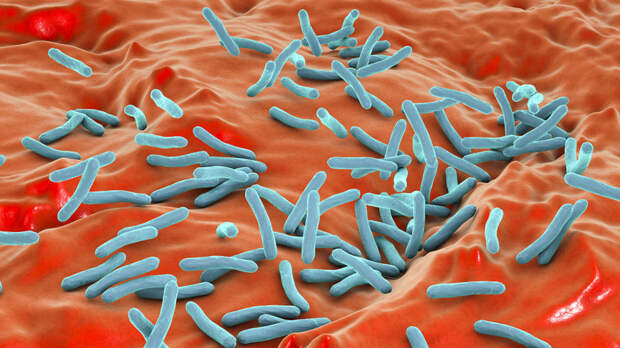 Фтизиатр Кузнецова: туберкулёз вылечить можно