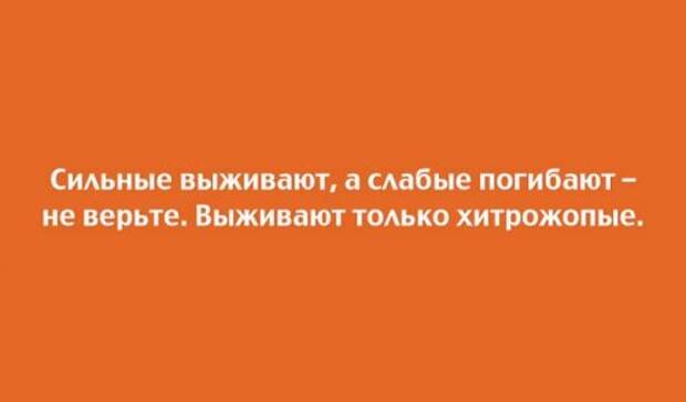 Прикольные открытки для любителей юмора (20 шт)