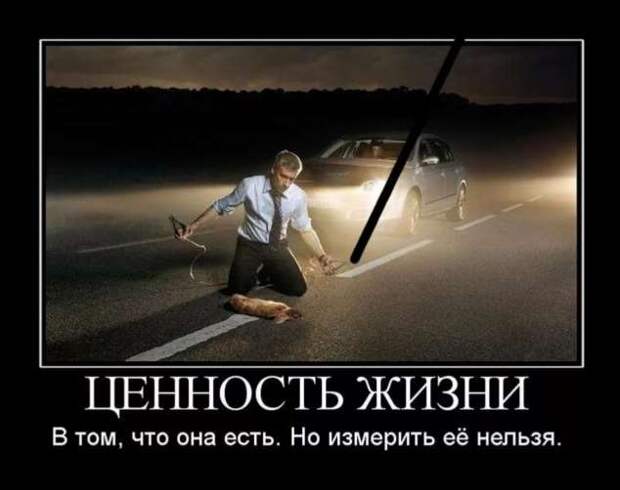 Прикольные демотиваторы с надписями. Подборка chert-poberi-dem-chert-poberi-dem-33130625062020-12 картинка chert-poberi-dem-33130625062020-12