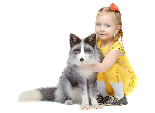 MyFoxcub.ru