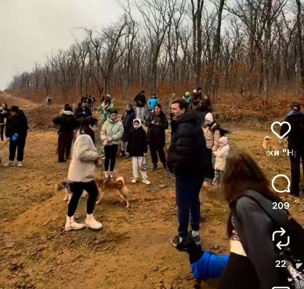 Трезвый тренд: зумеры Владивостока с собаками создают пробки на Русском острове