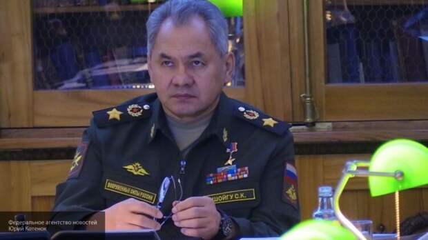 Шойгу заявил о стремлении НАТО к милитаризации Черноморского региона