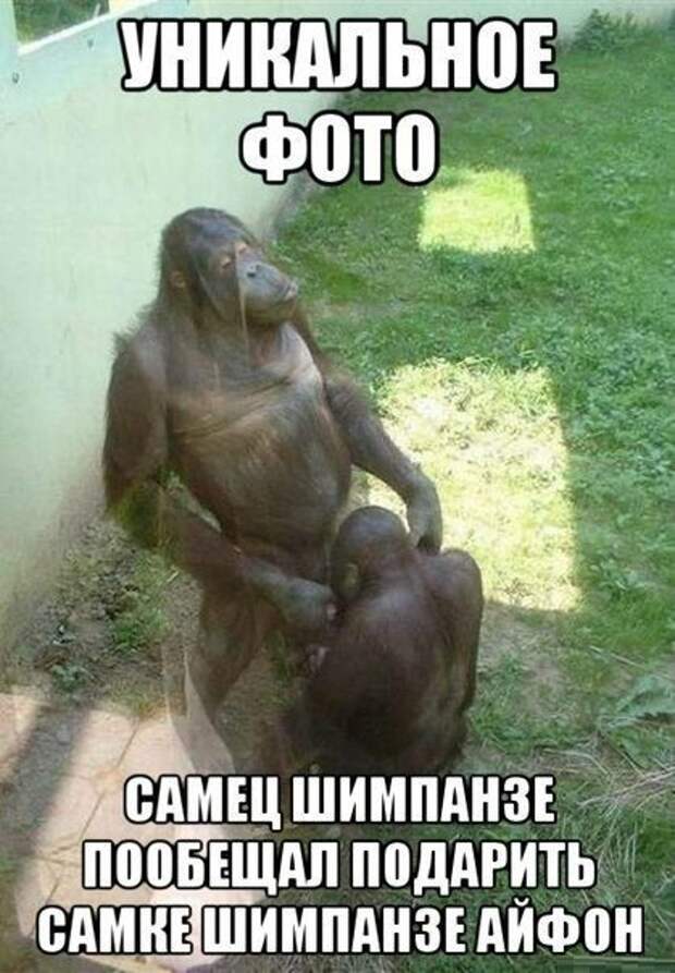 Всё в кучу 6