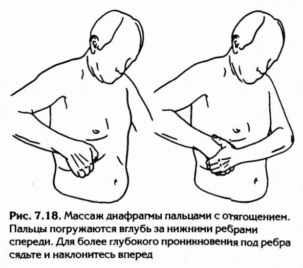 У кого когда-нибудь не болели колени? Начал по утрам бегать, ходить с палками километровые марши, приседать со штангой - через пару недель заболели колени.-19