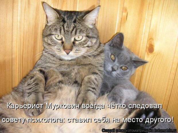 Мысли в слух :)