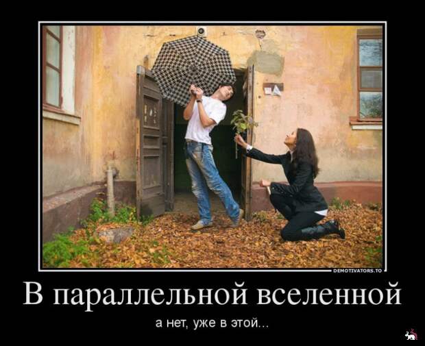 Блоги.  -  
