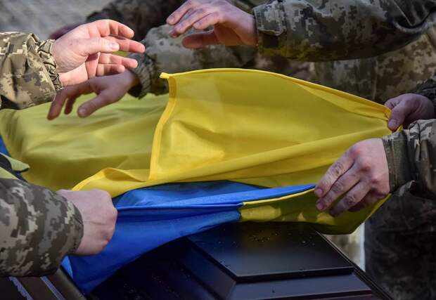 Украинка устроила погром на аллее в честь бойцов ВСУ из-за усталости от военных действий