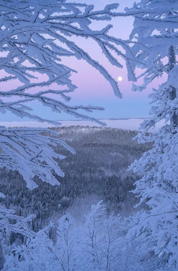 Фотография: Восхитительные зимние пейзажи