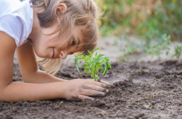 Учим детей заботиться об окружающей среде 