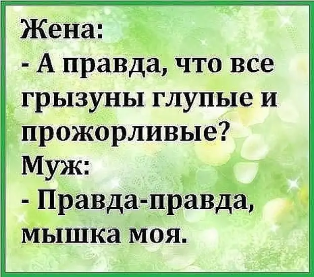 Хорошего мужа правда. Женщина отражение мужчины. Статусы женщина это отражение мужчины. Жены прожорливые. Жены они прожорливые.