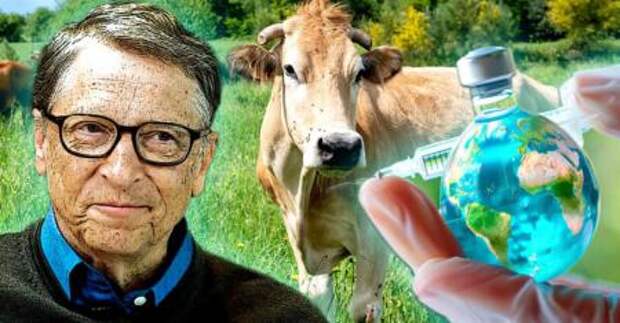 Билл Гейтс разрабатывает "климатическую вакцину" для сокращения выбросов метана от коров.