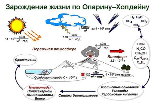 Происхождение жизни на Земле-3