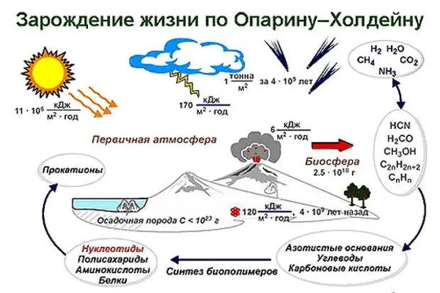 Схема гипотезы возникновения жизни