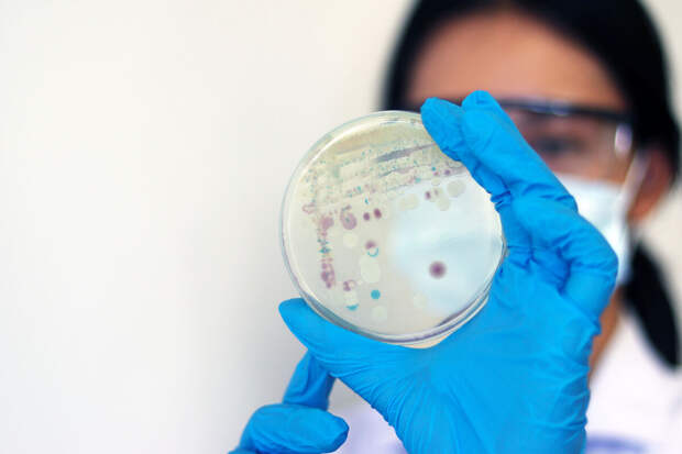 Nature: разгадана 40-летняя загадка паразита, вызывающего сонную болезнь