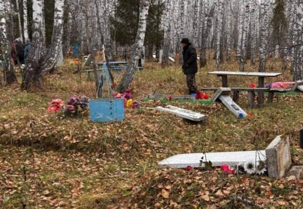 У нас горе: дети разгромили кладбище в селе Заливино в Кыштовке