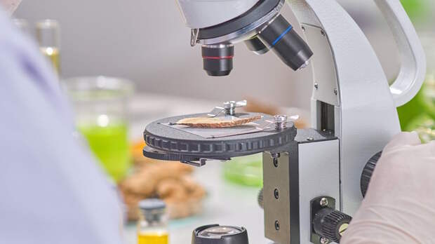 Катализатор для получения ценных веществ из древесины создали российские и белорусские специалисты