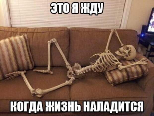 Свежие прикольные картинки (48 шт)