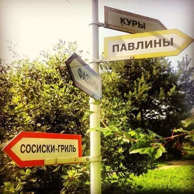 Одной тайной меньше забавности, концептуально, околомясные продукты, прикол, сардельки, сосиски, юмор