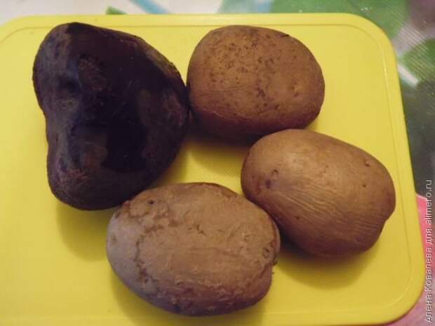 Закуска Закуска