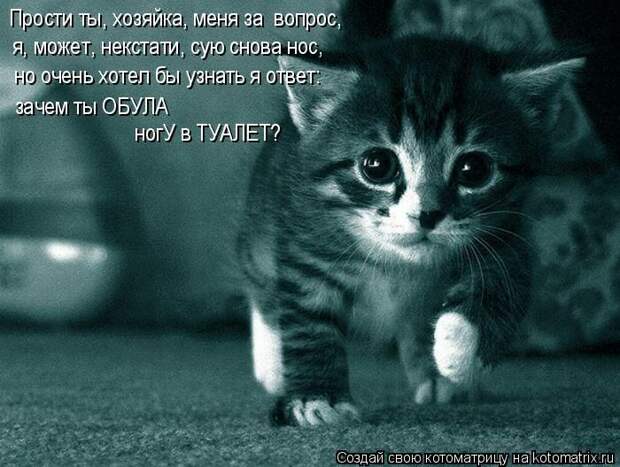 Мысли вслух :)