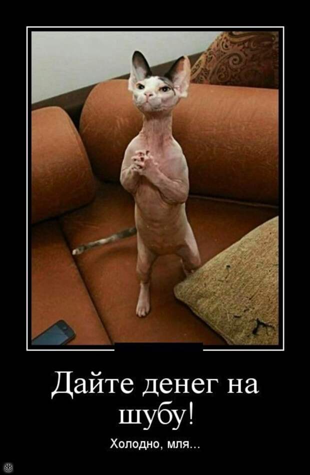 Ещё чуть-чуть демотиваторов 25