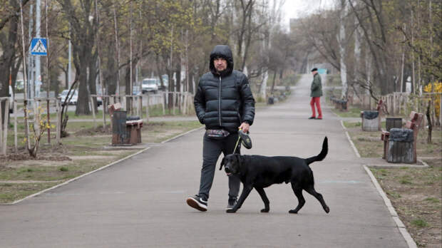 На Украине мужчину насильно мобилизовали, когда он выгуливал собаку