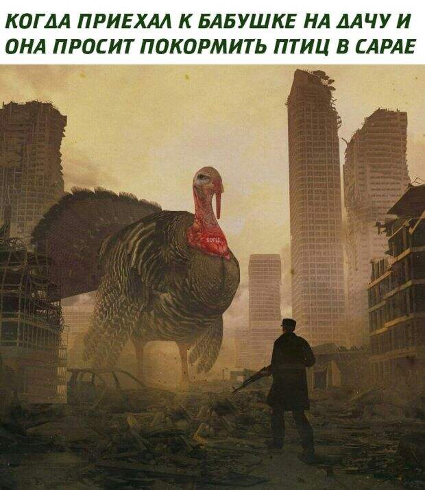 Подборка картинок. Вечерний выпуск (24 фото)