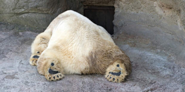 Продуктивный эгоизм или жить надо для себя