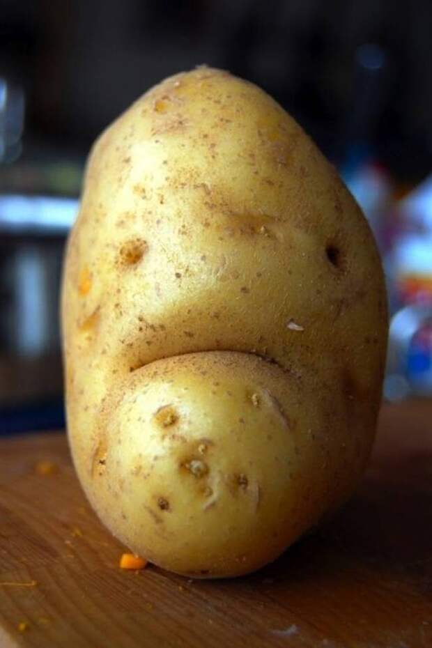 Забавная еда