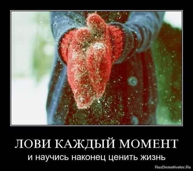 Прикольные демотиваторы с надписями. Подборка chert-poberi-dem-chert-poberi-dem-33130625062020-4 картинка chert-poberi-dem-33130625062020-4