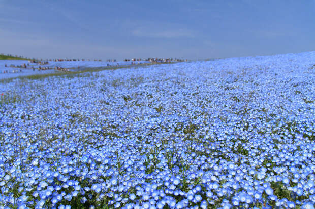 Самые красивые места на Земле
