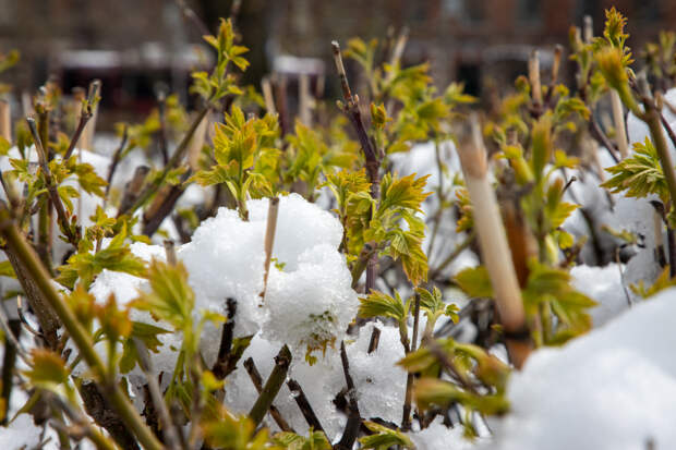 До +7 градусов и облачно с прояснениями: какая погода будет в Туле 11 марта
