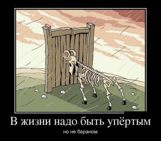 demotivatory-demotivator-smeshnye-demotivatory-demotivator-so-smyslom demotivatory-demotivator-smeshnye-demotivatory-demotivator-so-smyslom