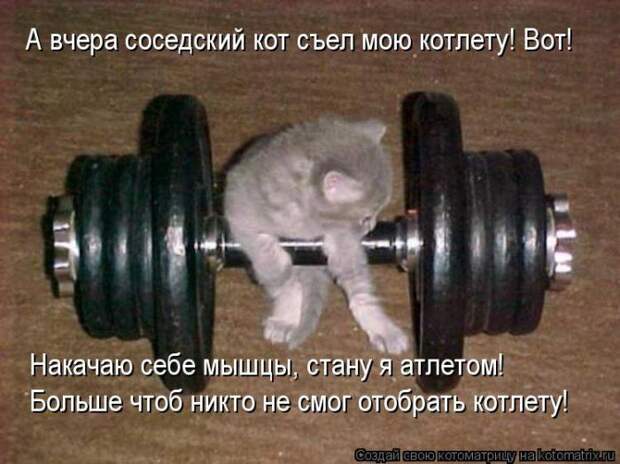 Мысли вслух :)