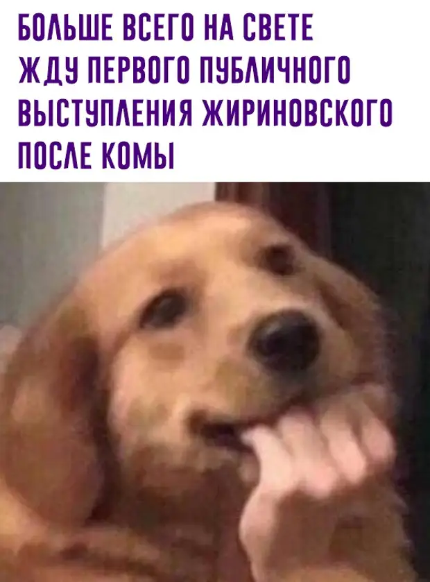 Юмор из интернета 712