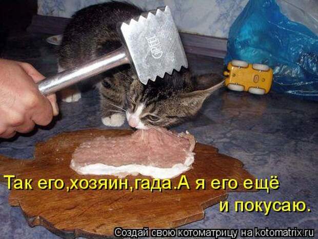 Забавные котоматрицы