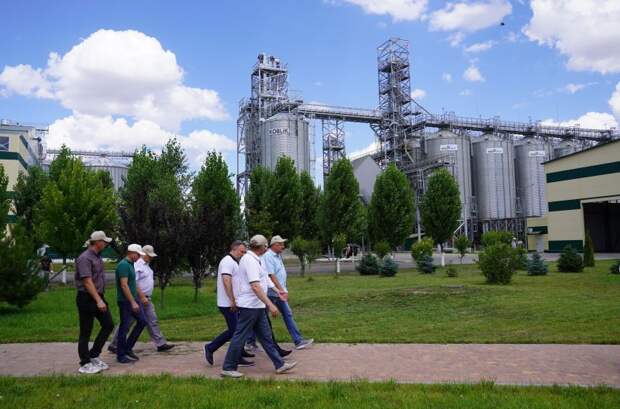 на территории комплекса по переработке семян Кубаньхлеб.JPG