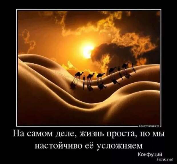Прикольные демотиваторы с надписями. Подборка chert-poberi-dem-chert-poberi-dem-33130625062020-2 картинка chert-poberi-dem-33130625062020-2
