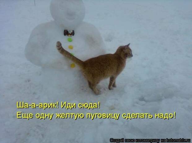 Мысли вслух :)