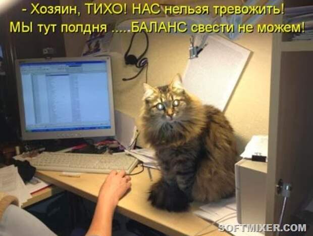 88c50ba9bb7483bdb3f8bf3a578_prev