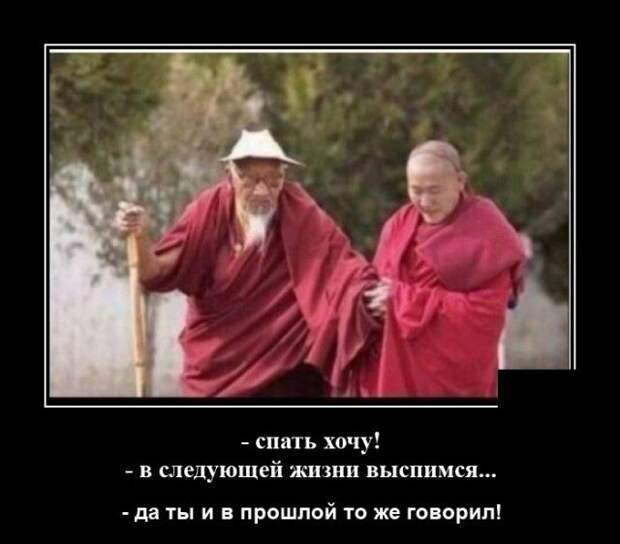 demotivatory-demotivator-smeshnye-demotivatory-demotivator-so-smyslom